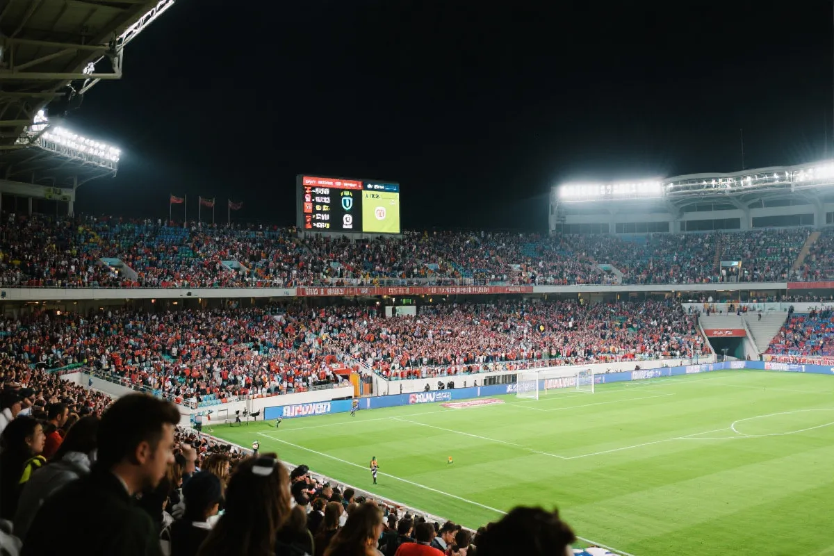 IM体育 - 访问与服务